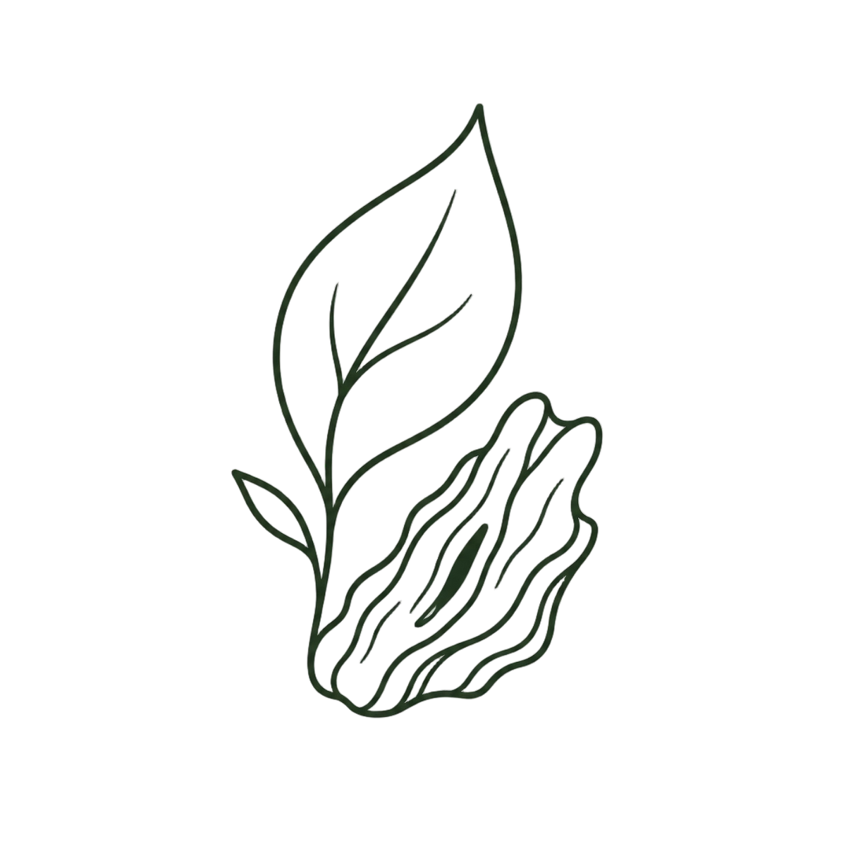 Botanical leaf and aromatic wood representing natural aromatics.